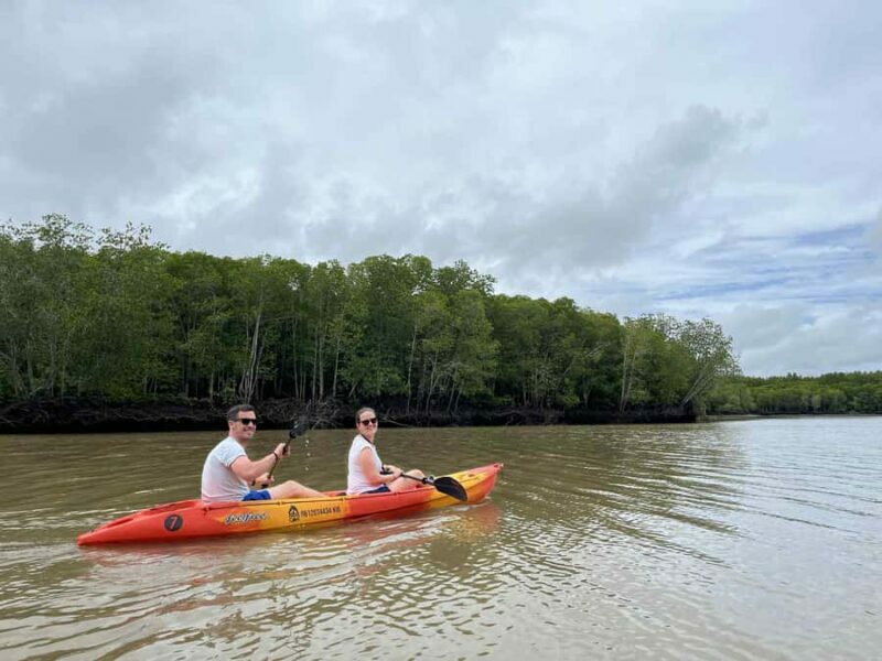 Koh Lanta: Mangrove Kayaking Tour with Hotel Pickup & Lunch - Cost and Value