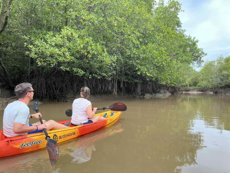 Koh Lanta: Mangrove Kayaking Tour with Hotel Pickup & Lunch - Who Should Sign Up?
