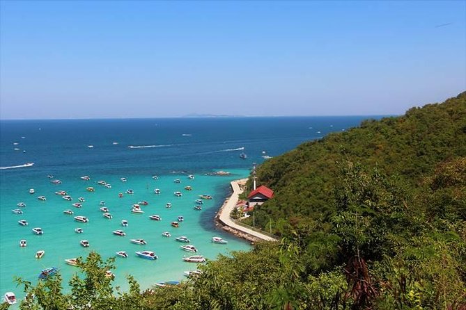 Koh Larn Trip From Pattaya Including Lunch at the Beach - Transport and Dining on Coral Island