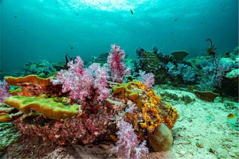Koh Lipe: 3-Day Open Water Certification Course in Paradise - Practical Details and Value