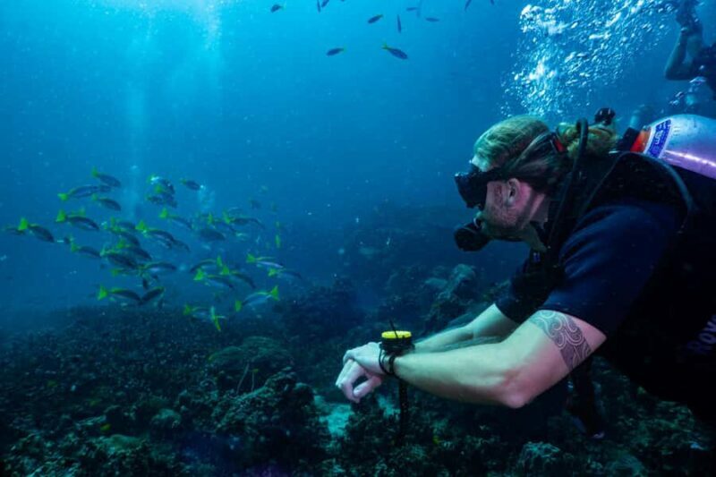 Koh Lipe: 3-Day Open Water Certification Course in Paradise - FAQ