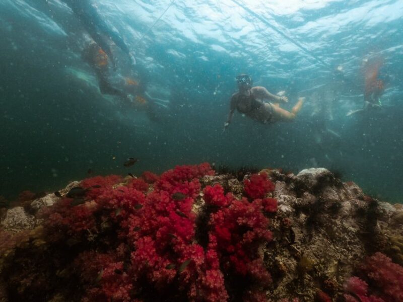 Koh Lipe: Longtail Boat Snorkeling Trip With Lunch - Discovering the Unique Geology of Hin Ngam Island