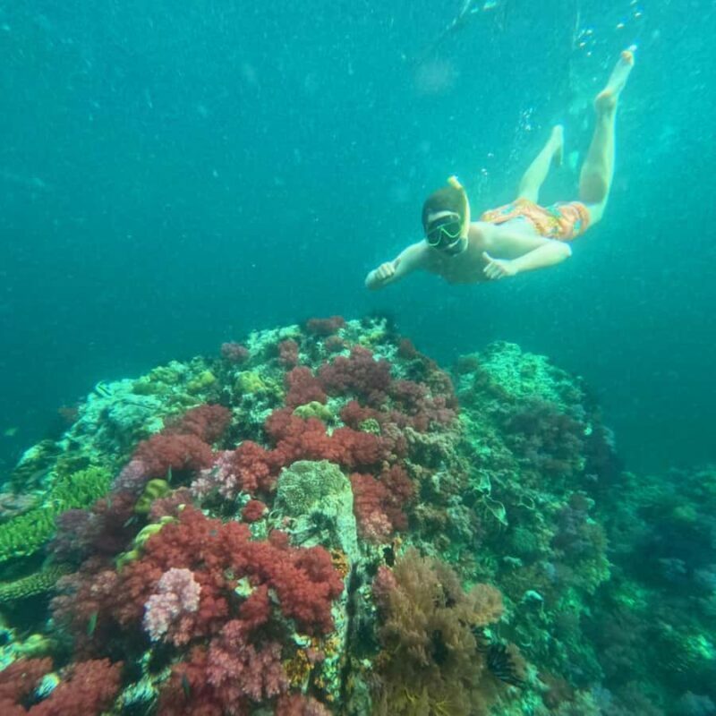Koh Lipe: Private Snorkeling & Islands Hopping with Lunch - Final Word