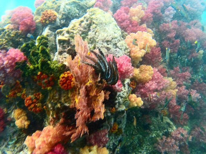Koh Lipe Snorkeling Trip 6 Hours Trip1 - Tour Cancellation Policy