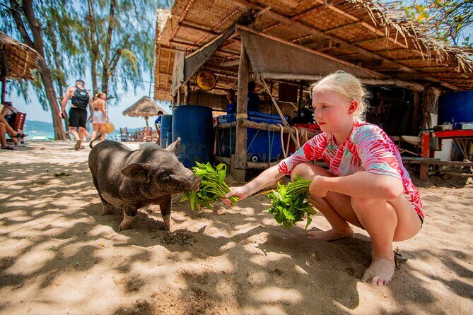 Koh Madsum and Koh Tan Snorkeling Trip By Speedboat From Koh Samui - Key Points