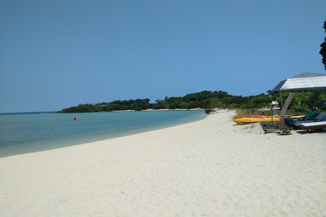 Koh Madsum and Koh Tan Snorkeling Trip By Speedboat From Koh Samui - Customer Reviews and Feedback