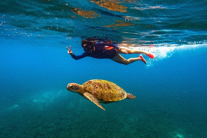 Koh Nang Yuan and Koh Tao 5 Point Snorkeling Tour - Key Points