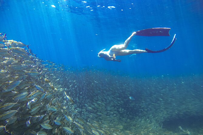 Koh Nang Yuan and Koh Tao 5 Point Snorkeling Tour - Feedback and Suggestions