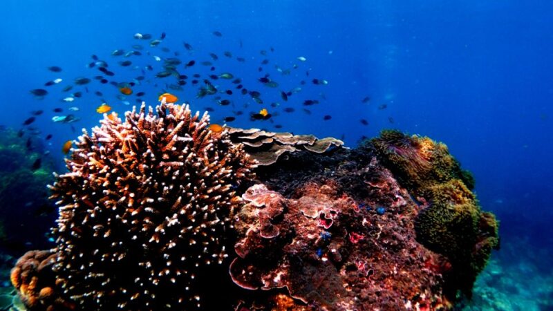 Koh Ngai: Emerald Cave, Kradan, Chueak Private Longtail Boat - Itinerary Highlights