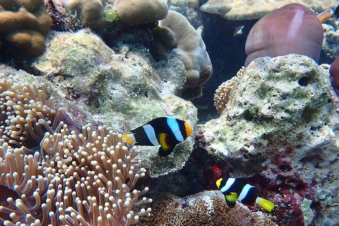 Koh Ngai, Koh Muk Emerald Cave Snorkeling Tour by Classic Longtail Boat - Boat Transportation and Experience
