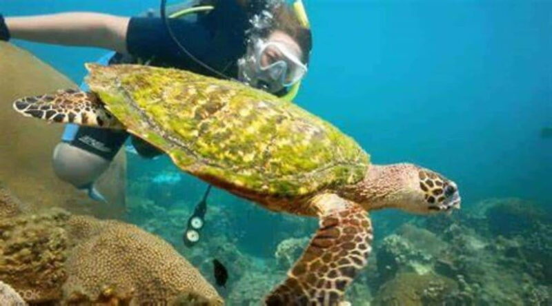 Koh Phangan: Angthong National Park Speedboat Tour - Suitability Considerations