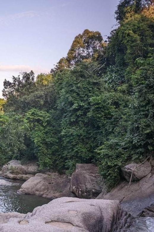 Koh Phangan: Private Land Tour With Snorkeling - Largest Tree on the Island