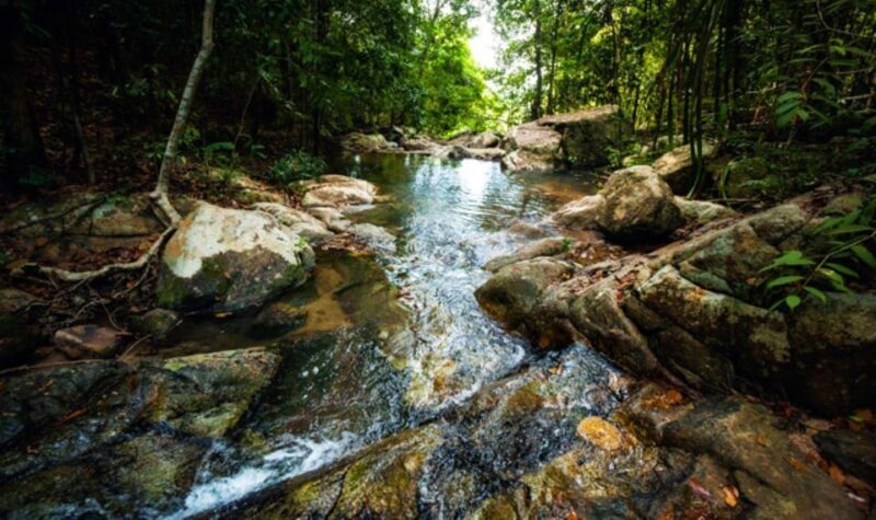 Koh Phangan: Private Land Tour With Snorkeling - Private Guide and Driver