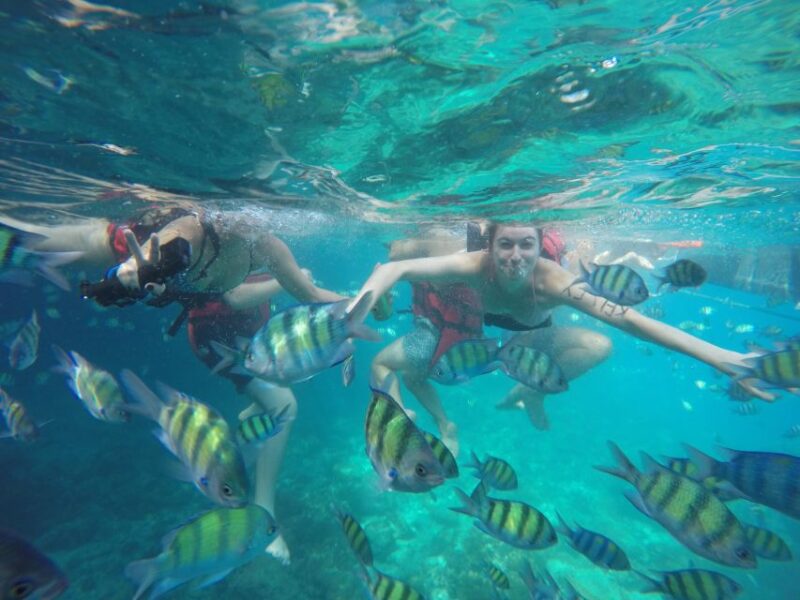 Koh Phi Phi: Captain Bobs Private Booze Cruise - Tour Highlights
