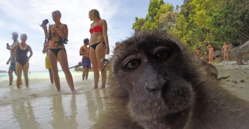 Koh Phi Phi: Captain Bobs Private Booze Cruise - Itinerary Details