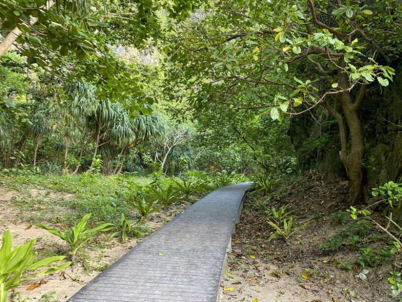 Koh Phi Phi: Maya Bay, Bamboo Sunrise/Sunset Speedboat Tour - Participant Restrictions