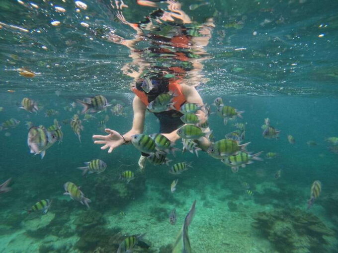 Koh Phi Phi: Maya Bay, Bamboo Sunrise/Sunset Speedboat Tour - Getting to the Meeting Point
