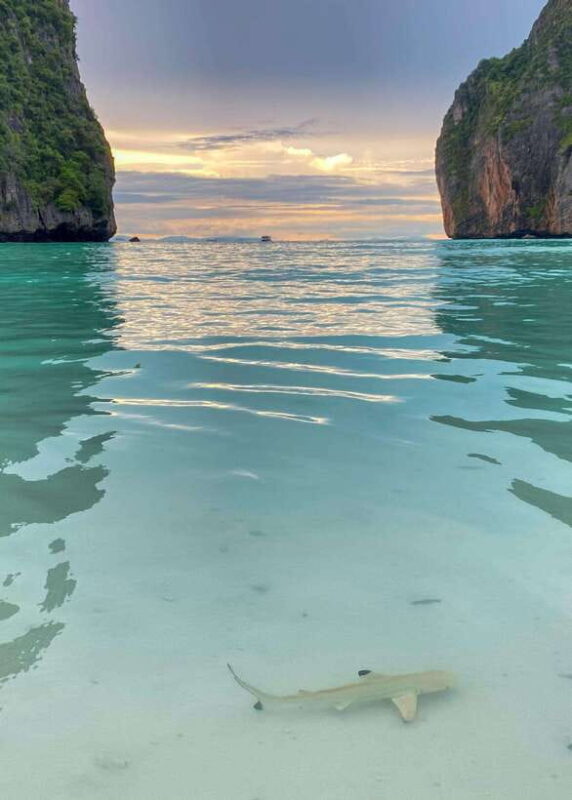 Koh Phi Phi: Maya Bay Private Longtail Boat Tour - Tour Experience and Customer Feedback