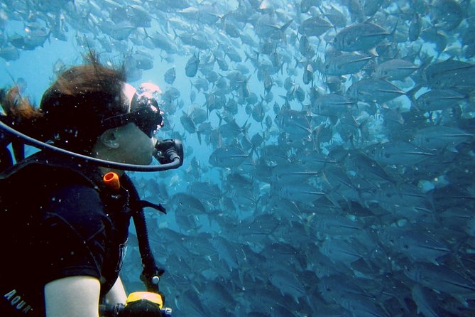 Koh Samui 2-Dive Trip to Sail Rock for Certified Divers - Inclusions for the Tour