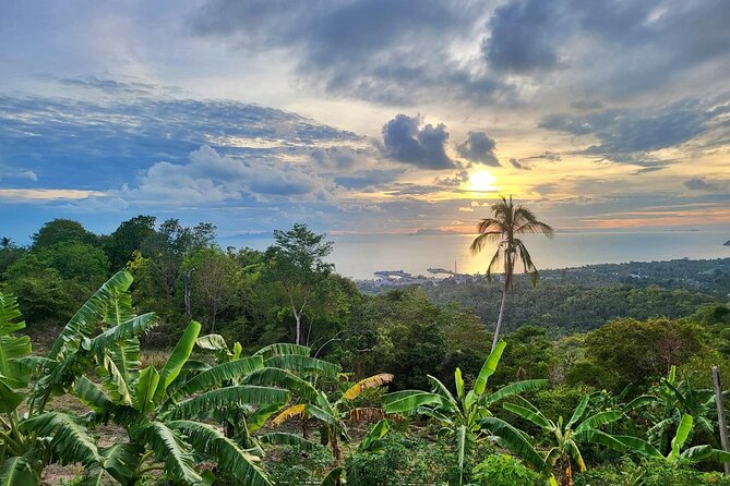 Koh Samui 4WD Jeep Jungle Tour - Traveler Feedback