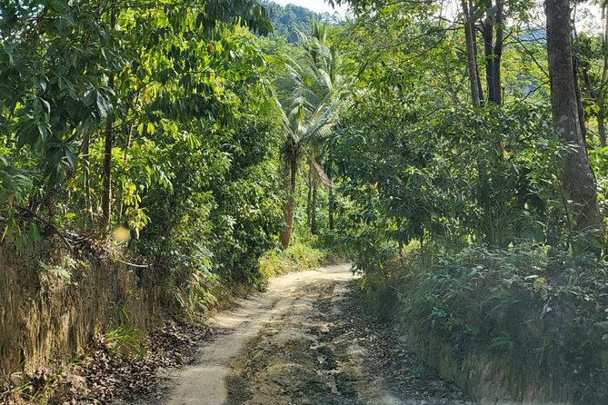 Koh Samui 4WD Jeep Jungle Tour - Dining at Remote Mountain Restaurant