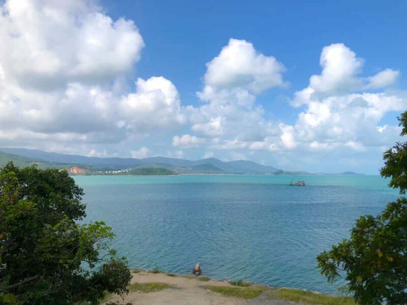 Koh Samui: 4x4 Off-Road Island Safari Tour & Lunch - Summary of the Experience