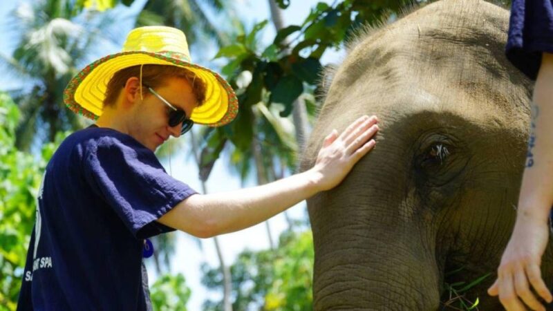 Koh Samui: 4x4 Sightseeing Safari & Elephant Sanctuary Tour - Transportation and Itinerary Changes