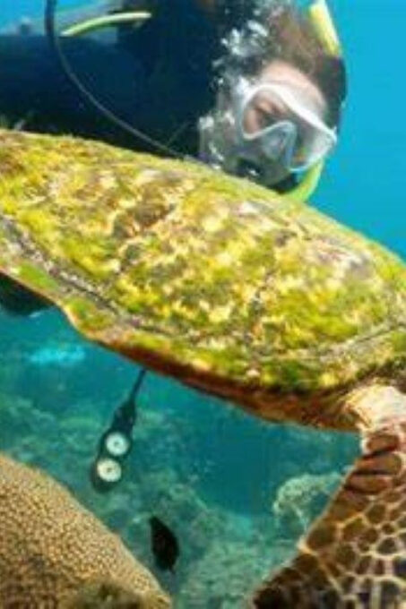 KOH SAMUI : Ang Thong Marine Park Adventure With Kayaking - Immerse in the Evergreen Forest Landscapes