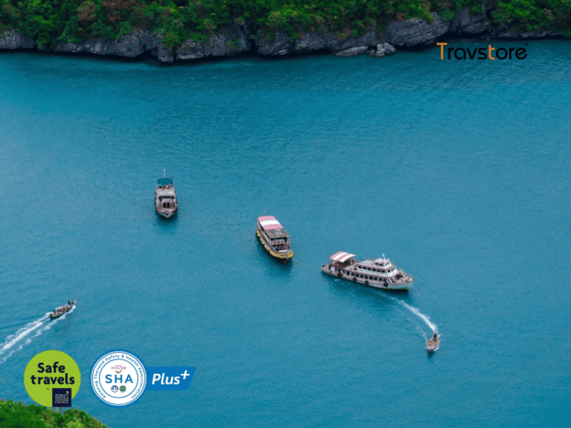 Koh Samui Angthong National Marine Park Tour by Speed Boat - Suitability