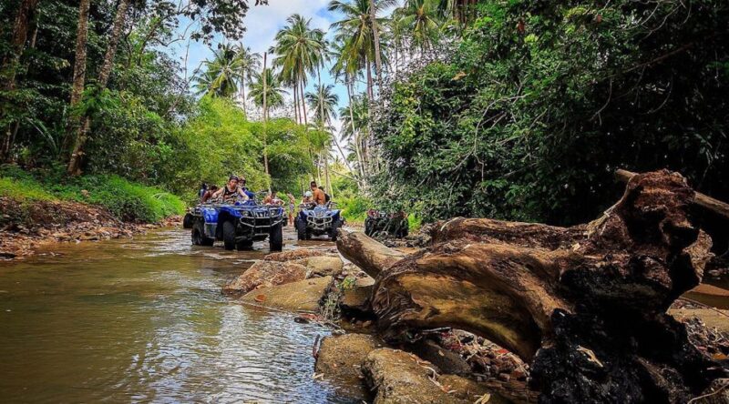 Koh Samui: ATV Quad Bike Safari Tour - Key Points