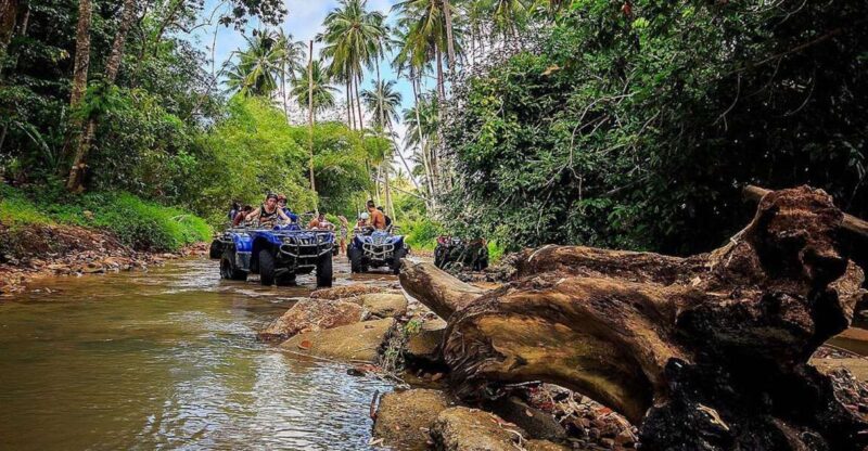 Koh Samui: ATV Quad Bike Safari Tour - Thrilling Jungle Exploration