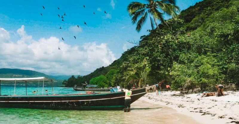 Koh Samui: Coral & Pig Island Longtail Boat Small-Group Tour - Pickup and Starting Point