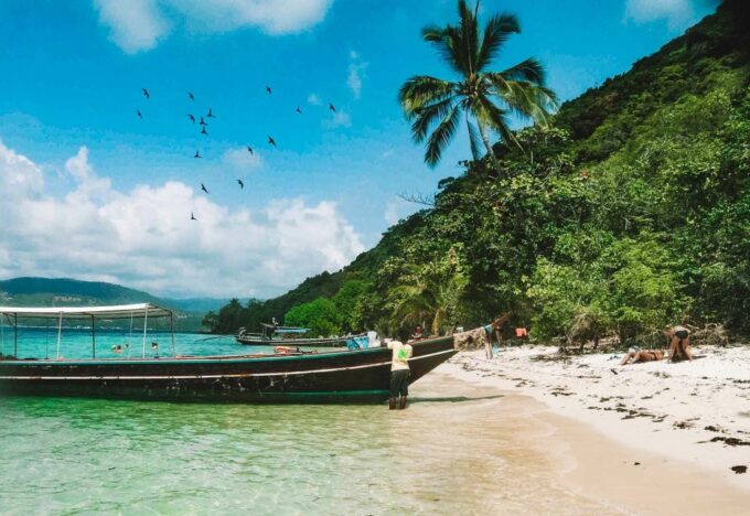 Koh Samui: Coral & Pig Island Longtail Boat Small-Group Tour - Important Information and Feedback