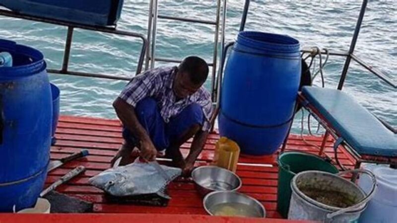 KOH SAMUI DAY FISHING Private Group - Exploring the Crystal-Clear Waters