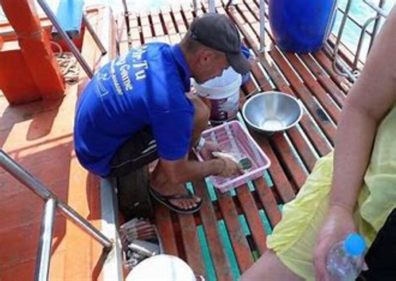 KOH SAMUI DAY FISHING Private Group - Competing in the Fishing Challenge