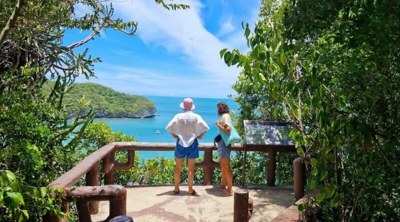 Koh Samui: Day Tour to Ang Thong with Kayak, Snorkel & Lunch - Who Is This Tour Best For?
