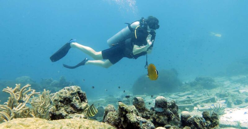 Koh Samui: Day Trip Diving at Sail Rock - Unique Marine Life at Sail Rock