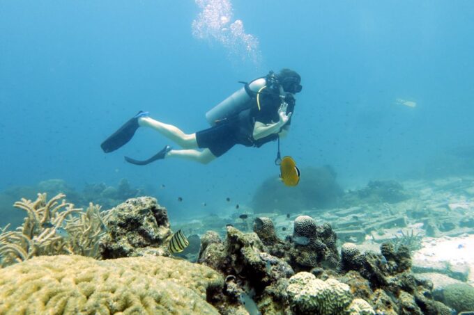Koh Samui: Discover Scuba Diving - Experience at Mango Bay