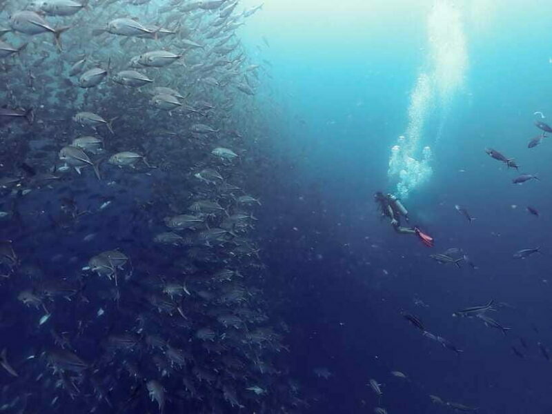 Koh Samui: Dive Tour to Sail Rock - Final Thoughts