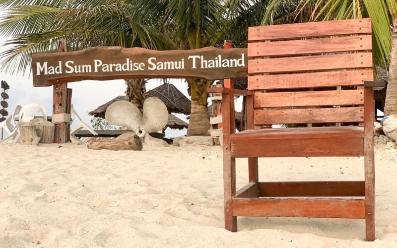 Koh Samui: Dolphin and 3-Island Power Speed Catamaran Tour - Highlights