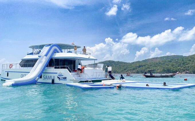 Koh Samui: Dolphin and 3-Island Power Speed Catamaran Tour - Spotting Playful Dolphins
