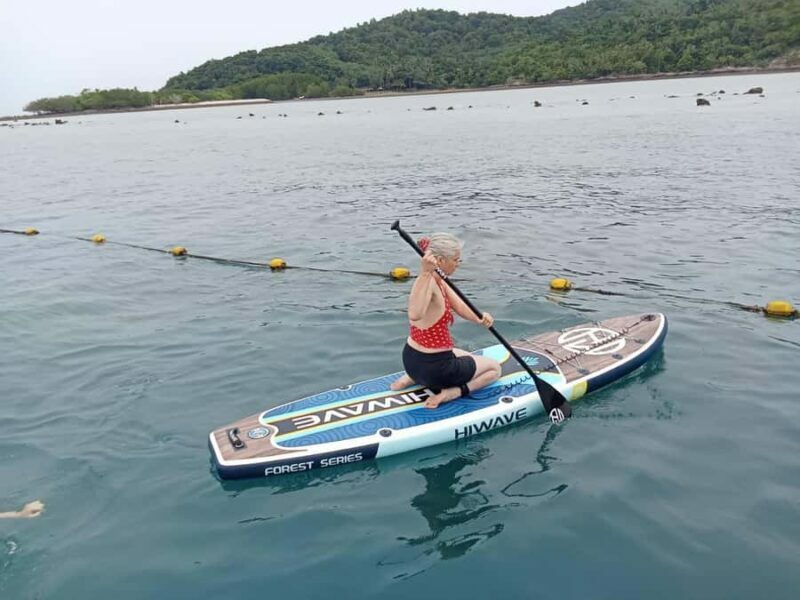 Koh Samui: Electric Long-tail Boat Eco Tour to Pig Island - Who Will Love This Tour?