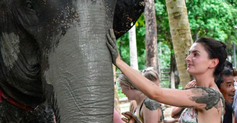 Koh Samui: Elephant Jungle Sanctuary Half-Day Tour - Key Points