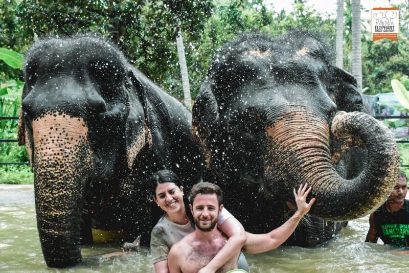 Koh Samui: Elephant Jungle Sanctuary Half-Day Tour - Experience Highlights