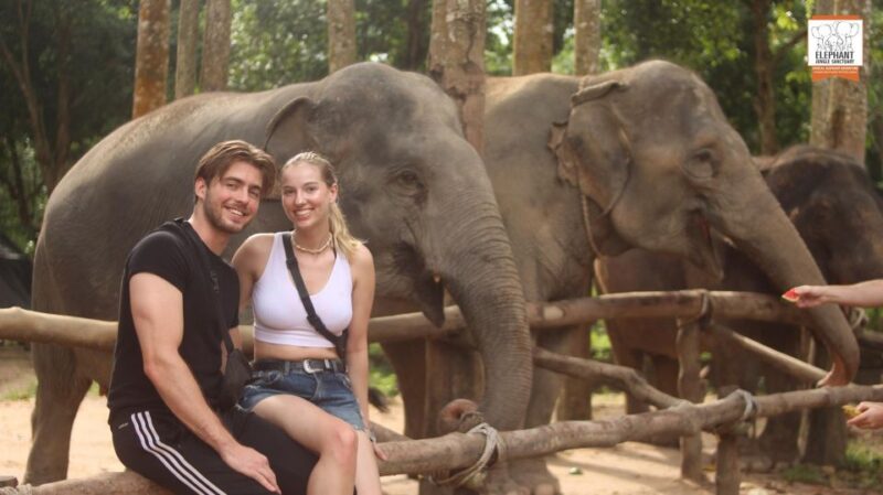 Koh Samui: Elephant Jungle Sanctuary Half-Day Tour - Arrival and Activities