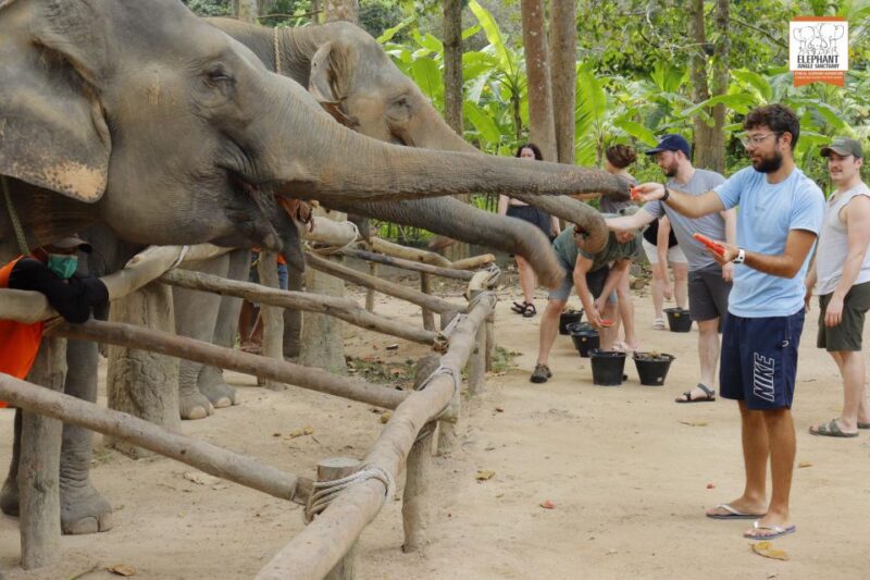 Koh Samui: Elephant Jungle Sanctuary Half-Day Tour - Knowledge Gain