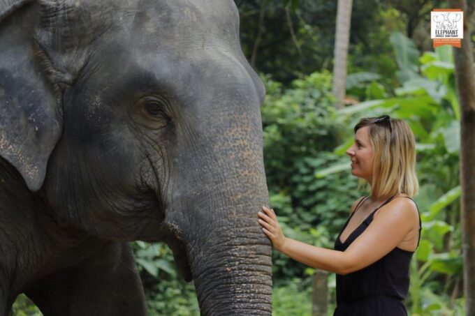 Koh Samui: Elephant Jungle Sanctuary Half-Day Tour - Important Information