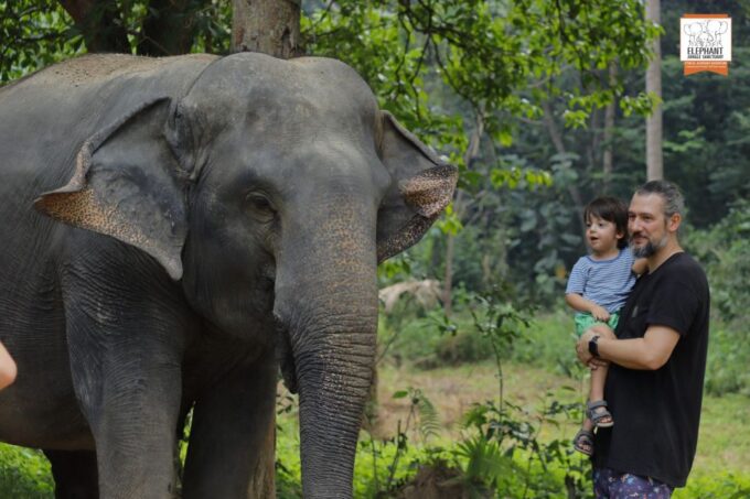 Koh Samui: Elephant Jungle Sanctuary Half-Day Tour - Customer Reviews