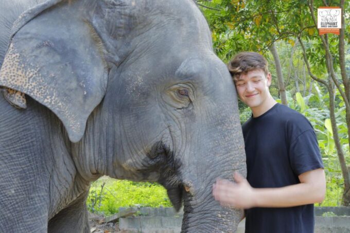 Koh Samui: Elephant Jungle Sanctuary Half-Day Tour - Reserve Now & Pay Later