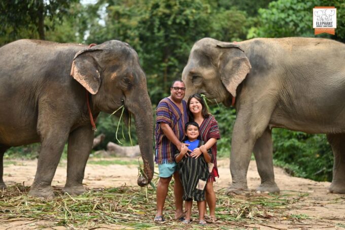 Koh Samui: Elephant Jungle Sanctuary Half-Day Tour - Frequently Asked Questions